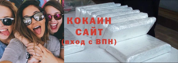 прущие грибы Богородицк
