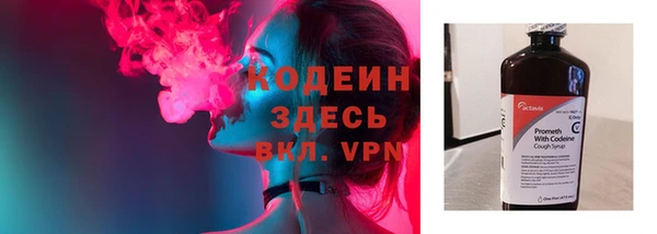 прущие грибы Богородицк
