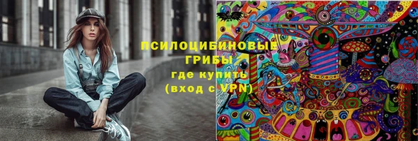 mdpv Богданович