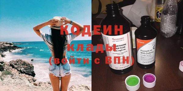 прущие грибы Богородицк